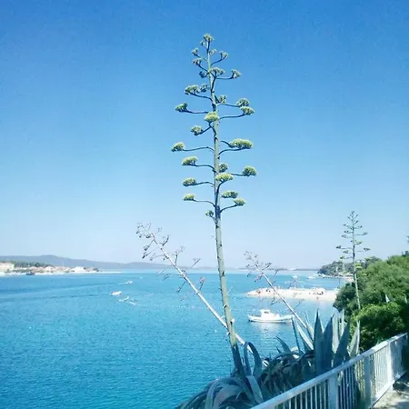 Duje Brodarica (Sibenik-Knin)